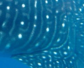 084d16e7-d188-401e-81f4-40a11249aa3e