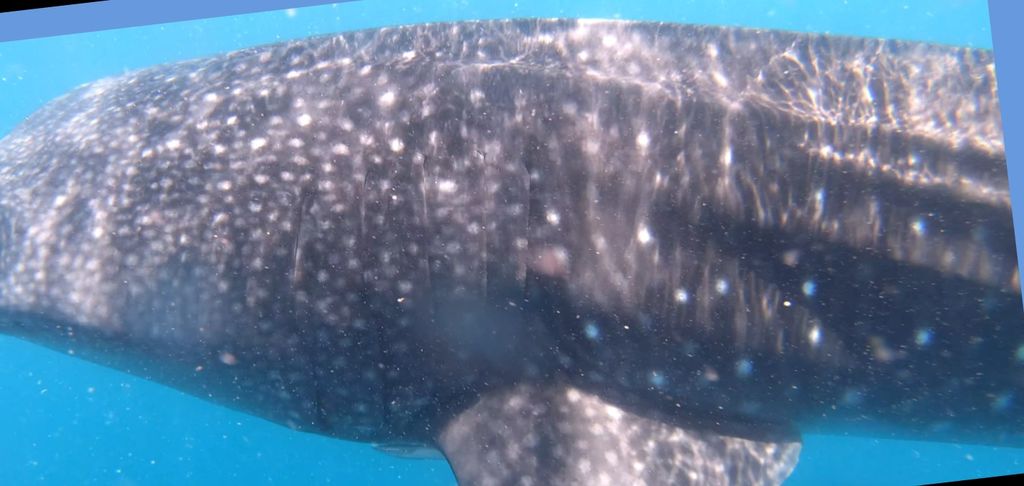 d54ffa82-327c-4dd8-aaa0-e62592aa66a1