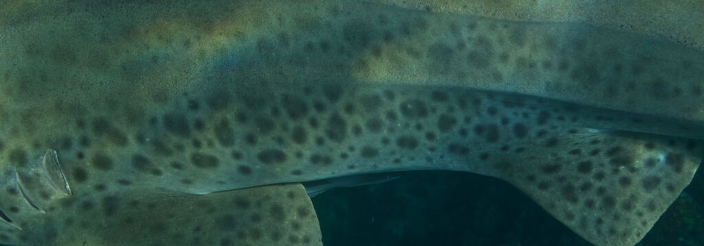 411dba64-e6ef-40b2-abfd-98569705f102