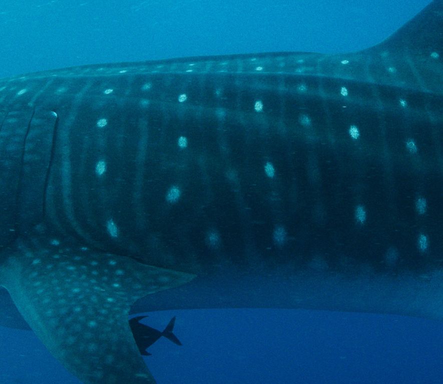 7f621308-7c93-4d66-a536-ed4c99bc73ae