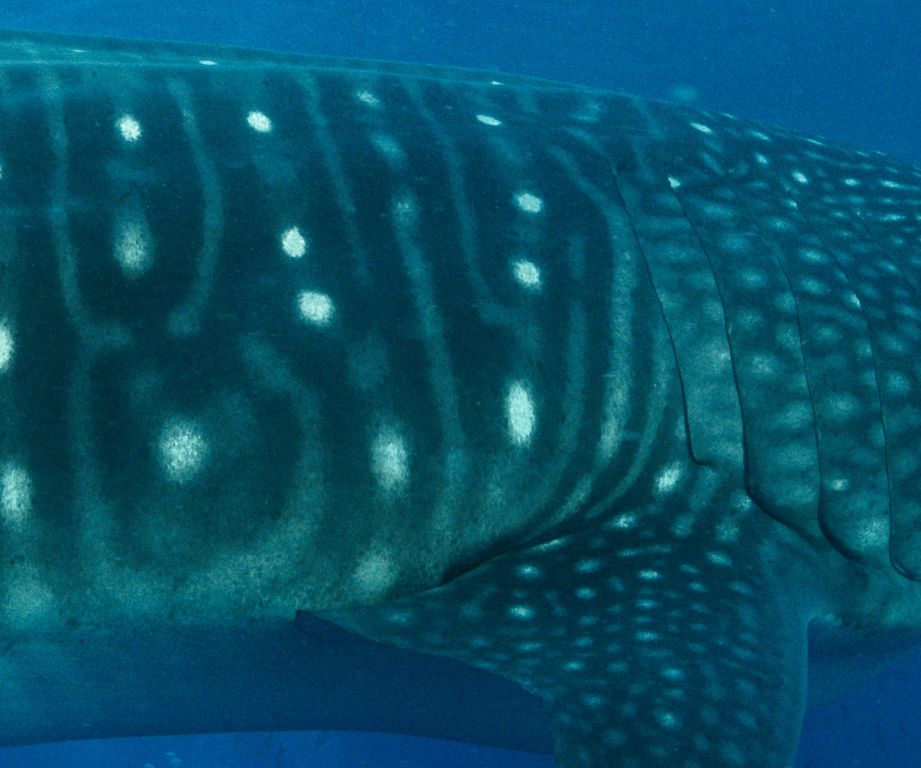 7f621308-7c93-4d66-a536-ed4c99bc73ae