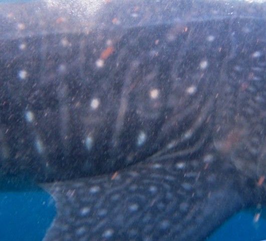 75faa009-0e41-4327-86f5-54256d56b904