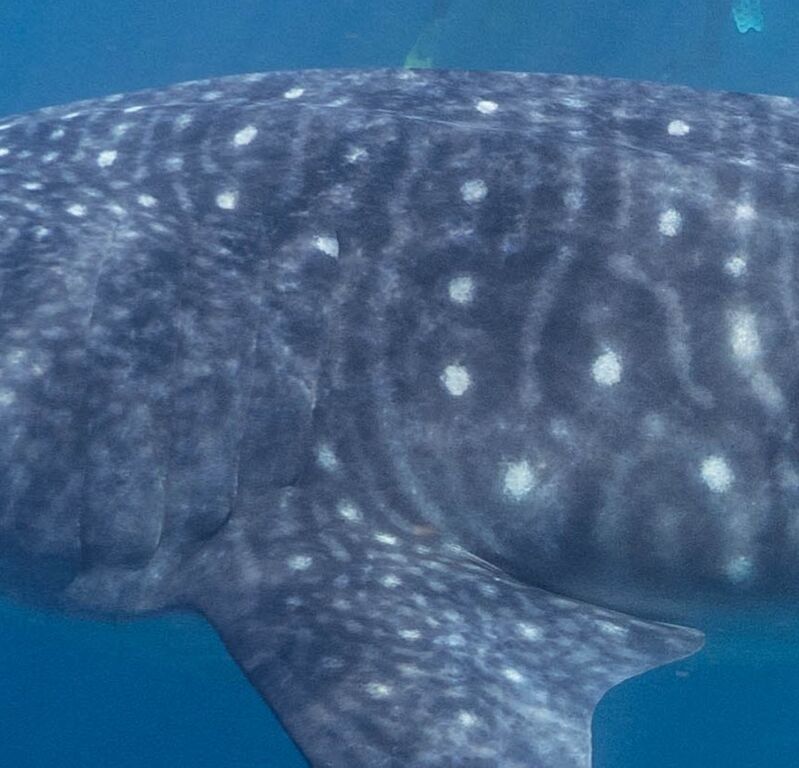 581ad61c-4138-4af7-899e-9d0422cd5993