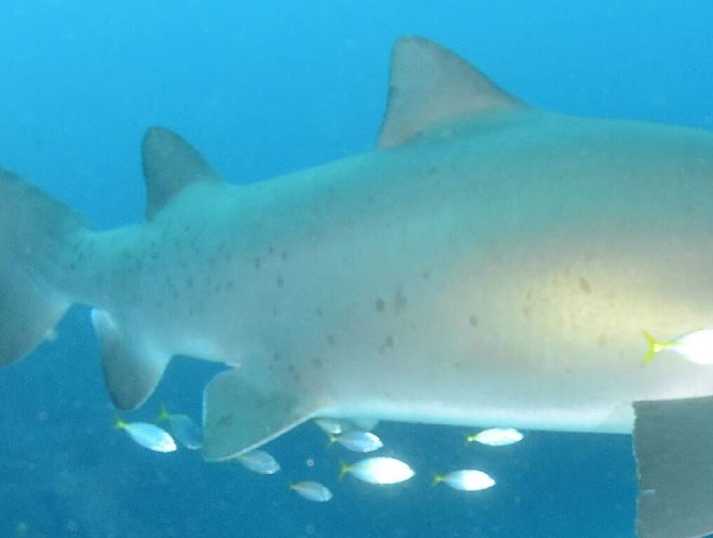 1f7d84a7-c635-476d-9727-4f4fa39b8fd1