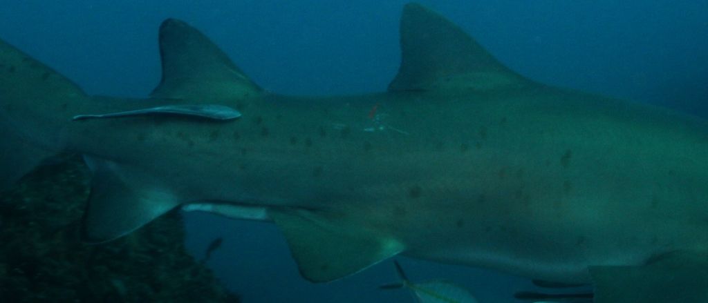 bc982baf-fb64-43ab-99d6-8446116aac95