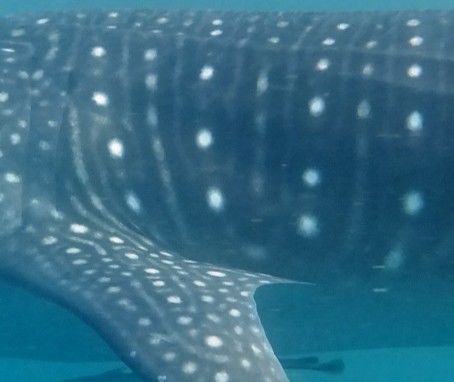 a8836d7b-037f-44dd-b30a-6a87ca04fd49