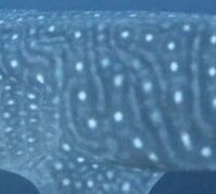 d48fb8ab-4df8-47c0-8d21-6a6a85a6fa17