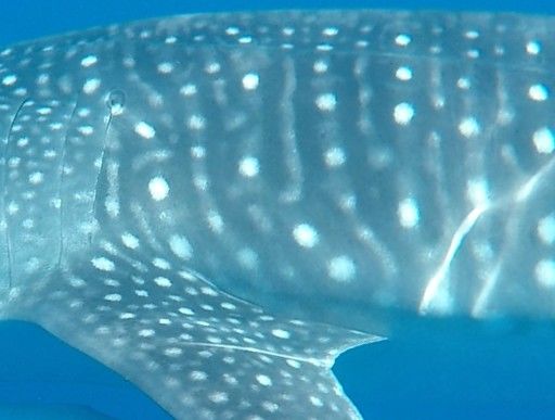 19264ea4-050a-441f-82b4-a673f572aa12