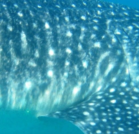 9811ad7d-0640-4c1c-ad82-861c12516c1e