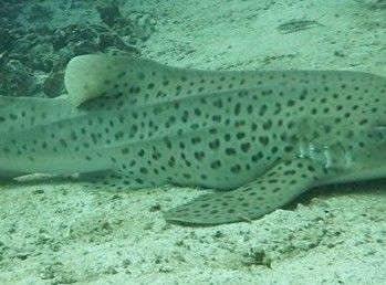 6db6dafc-677a-48e4-b911-ee5e340deaf3