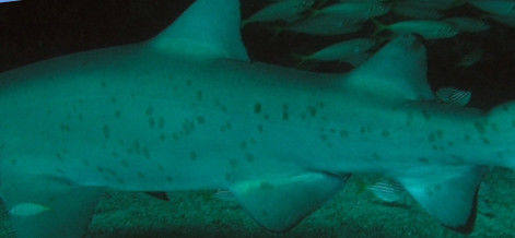 9fcd8655-e284-44d7-89b5-875296f39b3b