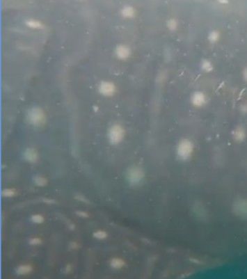 87b77126-0a98-41af-a8ef-2ede4a5a0d7b