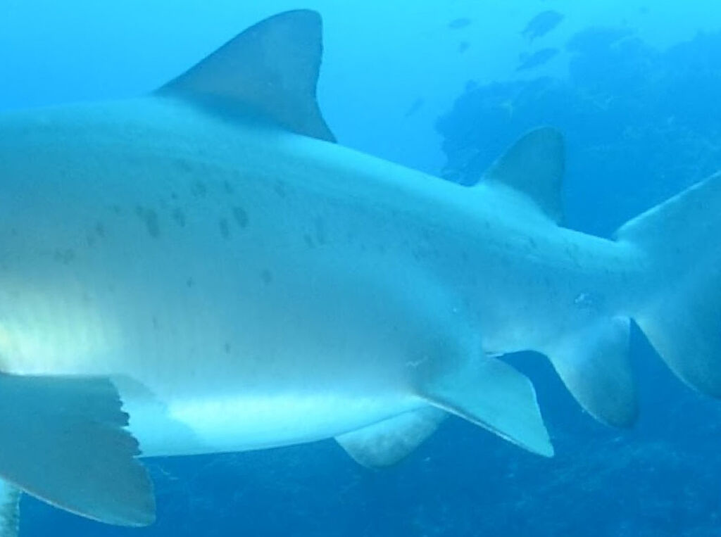 1a47b649-5919-482f-9ca0-8e09ba2ff877