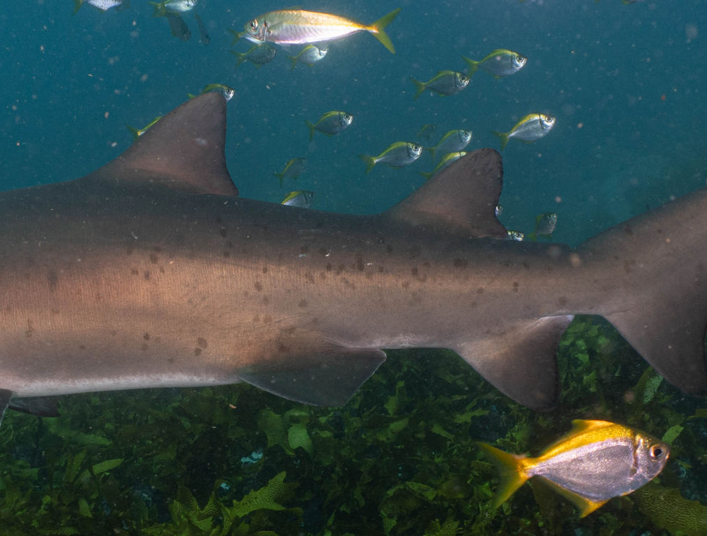 60720573-2548-4df3-a36d-a76efec24685