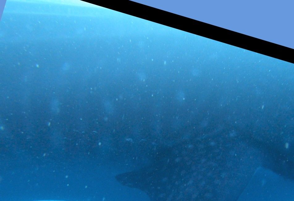 46a2e239-17b9-46dd-b24e-d77b9da080ee