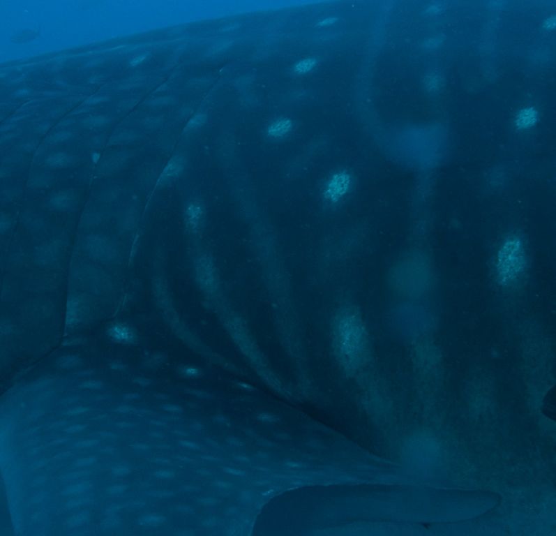 46a2e239-17b9-46dd-b24e-d77b9da080ee