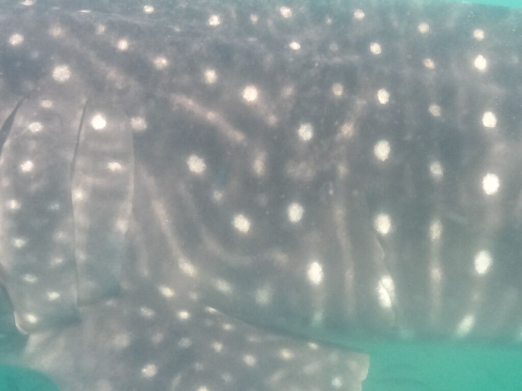 ccf6e155-c3f0-4b38-a668-95d13a140d12