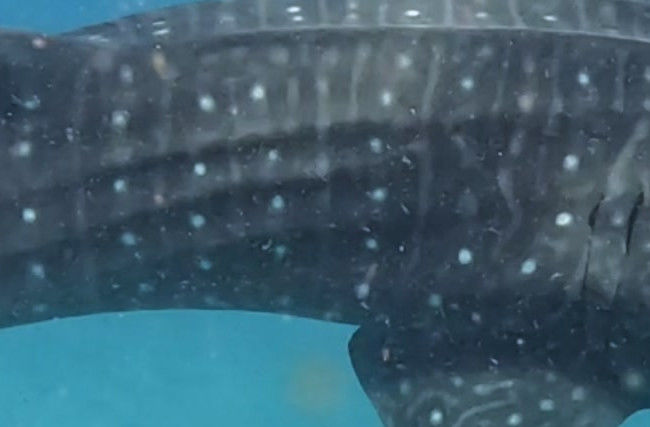 727240aa-36f0-4402-8370-db97d77981fb