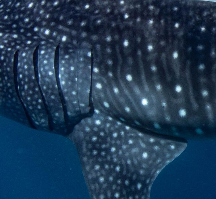 b9b919dd-3361-414c-b804-cf6df54c5012