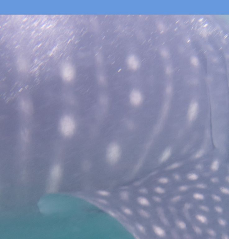 3f22200e-03ff-4870-98f1-df51e2525ce5