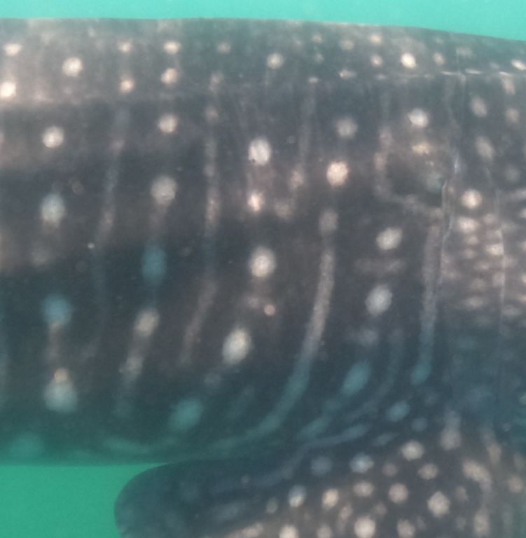 df7eef68-41f3-424c-9529-07f7f83cb67a