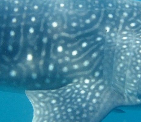 155138aa-15f2-46a4-9d20-0165604d92ca