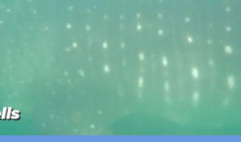 73c86104-a7ef-4d08-a127-b754b627e187