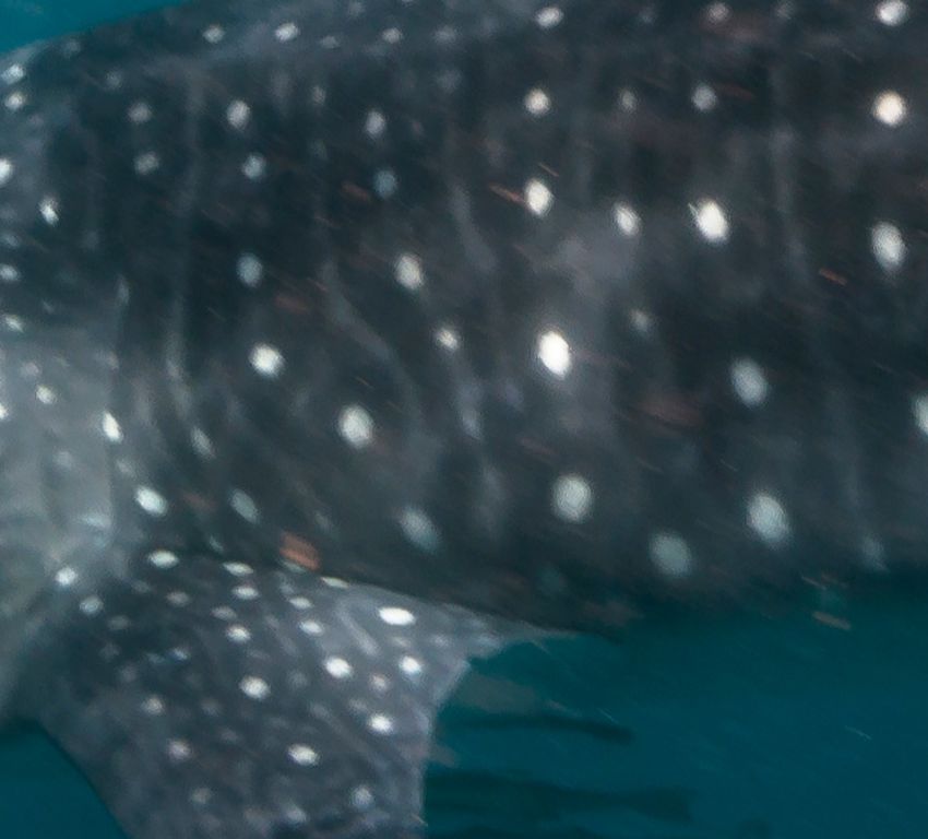 727cceb6-d767-400b-abc1-9f208a8d96b4