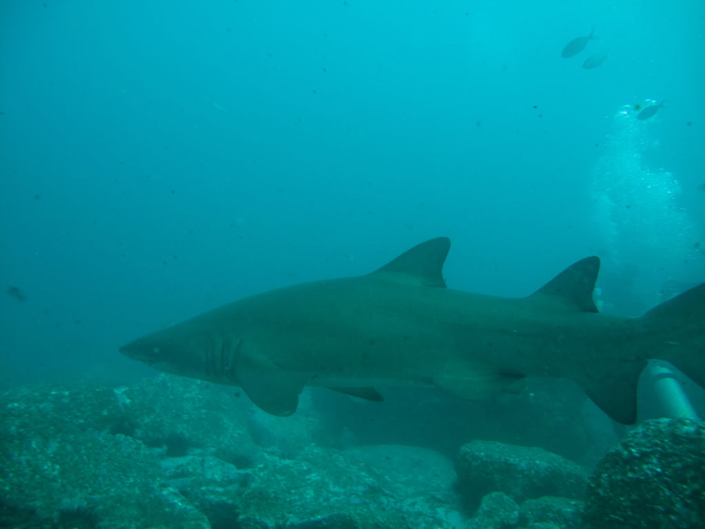 53a44db0-ed9a-4d53-87cd-aa9a9ab61903