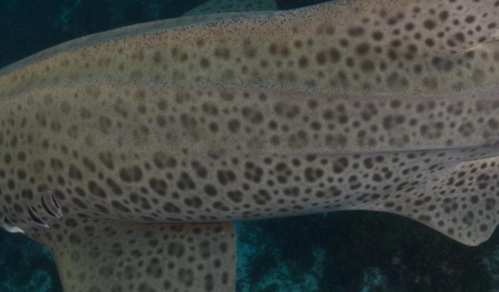 4814314a-e113-460e-acef-0958bad9e8f7