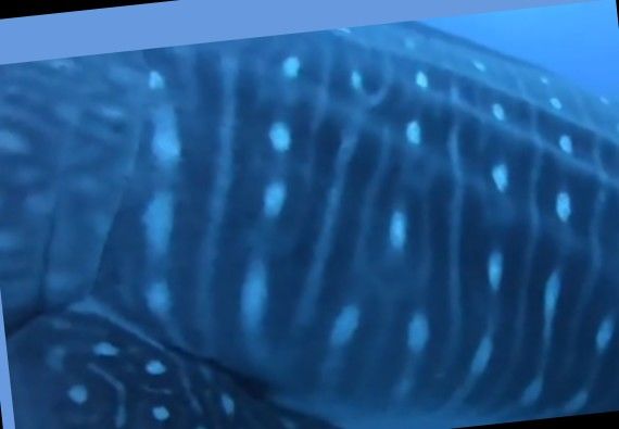 bba94db3-a9e2-4508-8b3b-26c6ebf0cef4