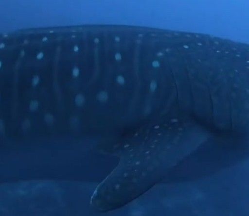 bba94db3-a9e2-4508-8b3b-26c6ebf0cef4