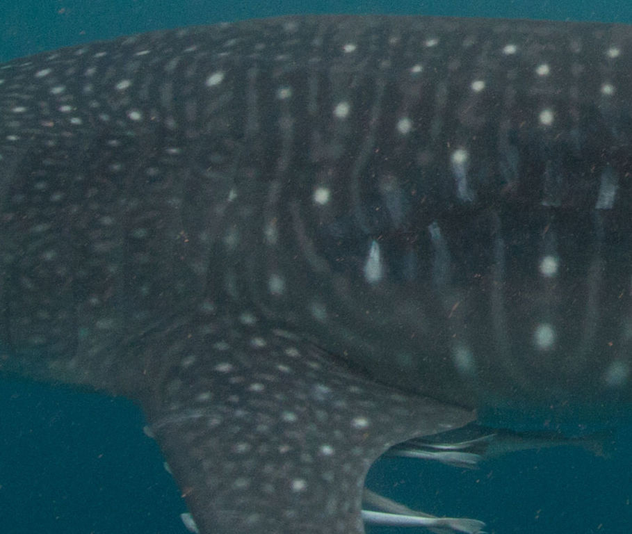 7f7ed114-9214-437f-9a00-7a425c4c25d0