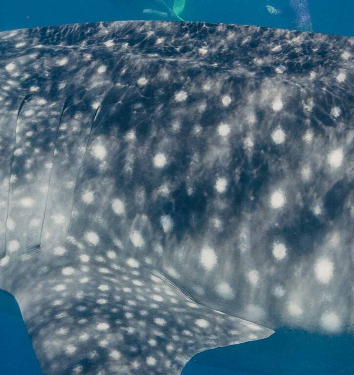 3689345d-781e-43aa-ad30-15713a4b6a3c