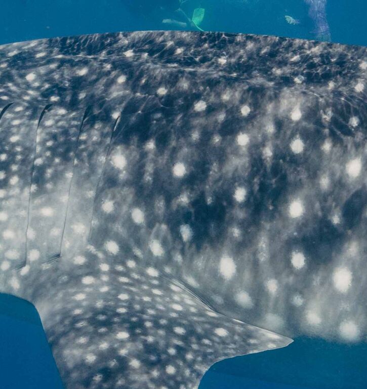 3689345d-781e-43aa-ad30-15713a4b6a3c