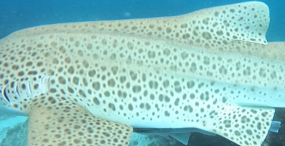 c1d6c448-c48d-4006-9b19-5ba96713e5ad