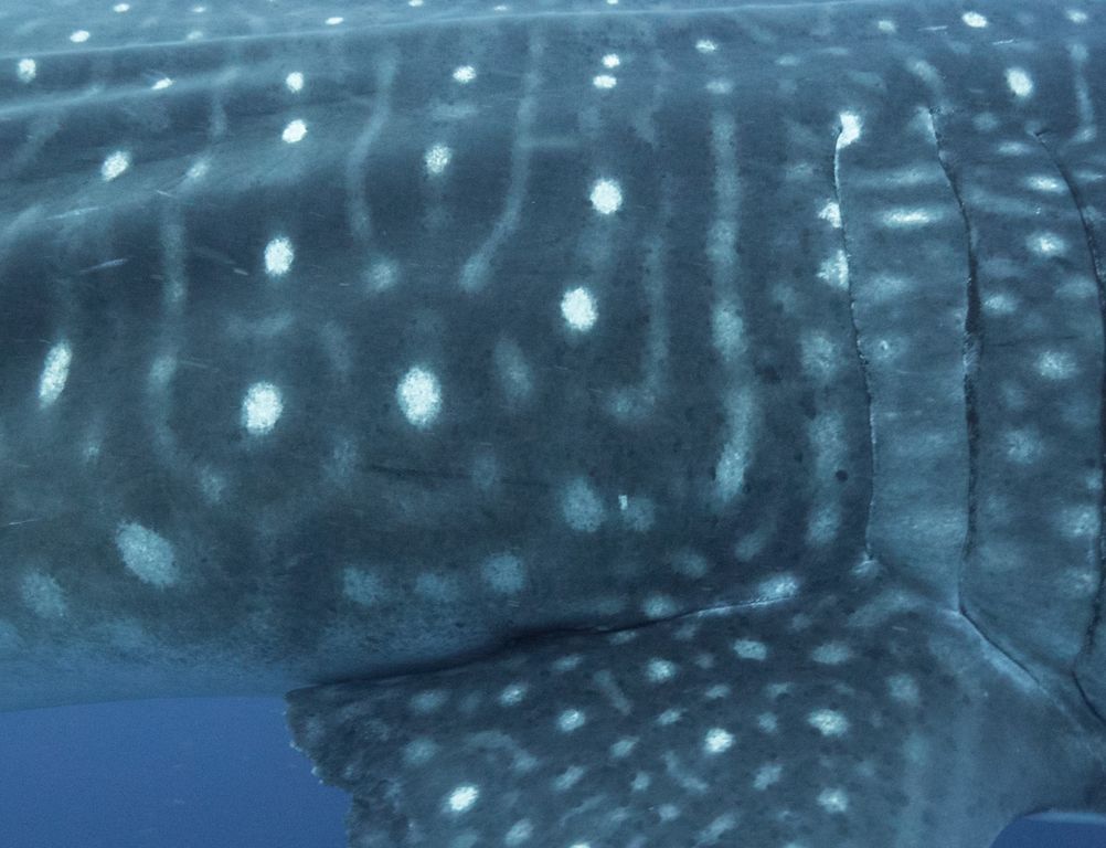 038f096e-941a-46b3-9671-8e965bb7301d