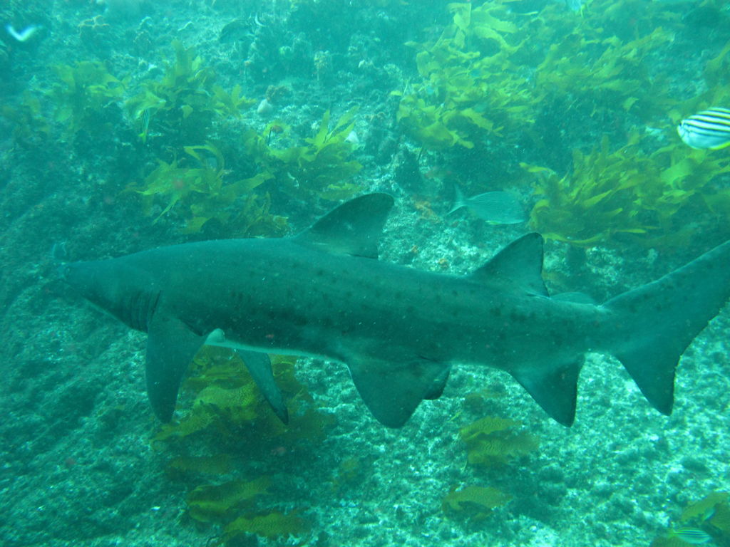 dcef99c5-2b20-4d01-88b3-3985f02fd59c