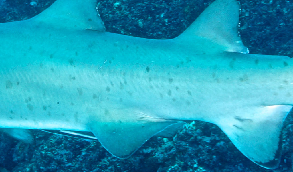 0b87cacf-f32c-4b3e-af9d-0ed0762c5e28