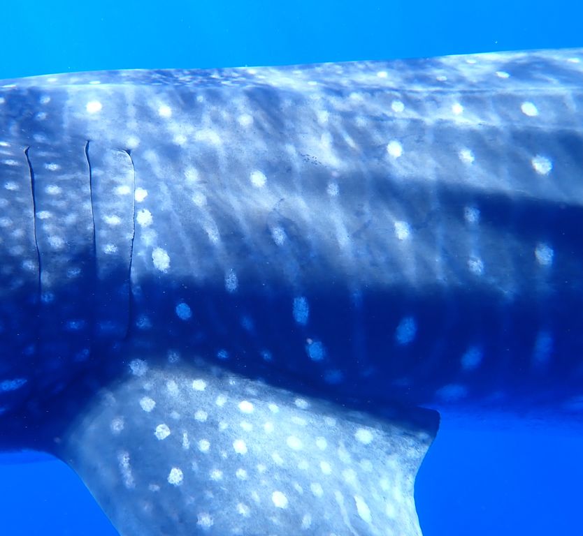 022d3cb1-a1d0-4eeb-b11d-246940483ba6