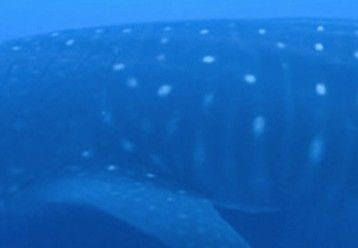 282ce950-57d2-4561-a2fe-7e3b1534c4bd