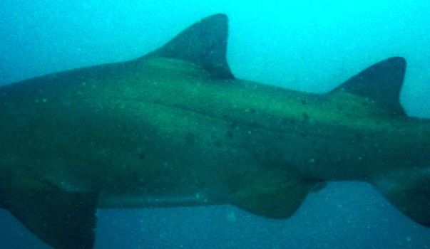 be8afa28-24eb-40cc-acaf-773d20aa306f