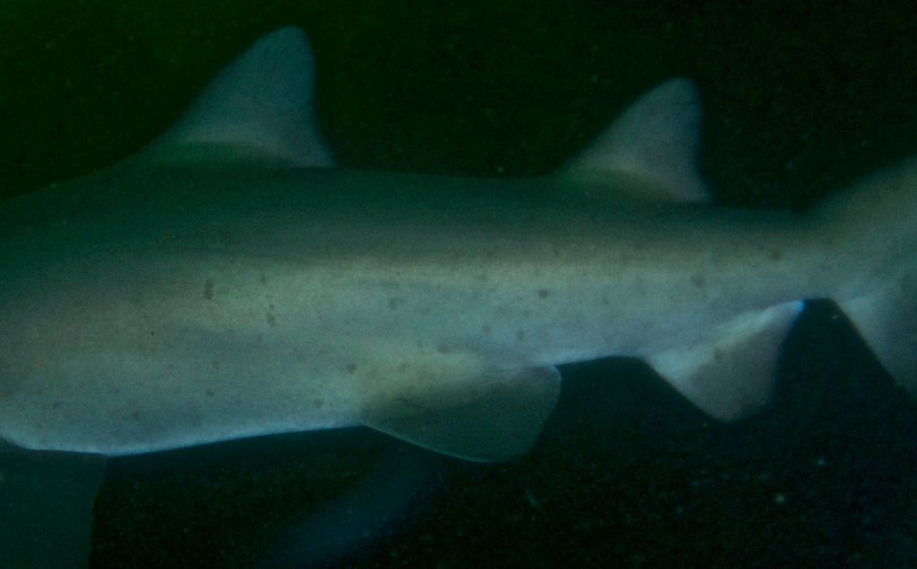 95300620-0c89-40c7-8097-48cbf169acad