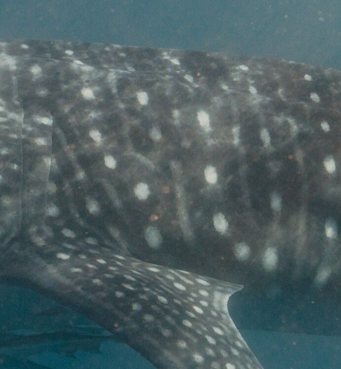 c84a64e4-5385-4792-9677-3225f9fe5eca