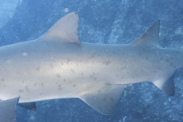 345f3051-a19c-42cd-b562-04293bb6c672