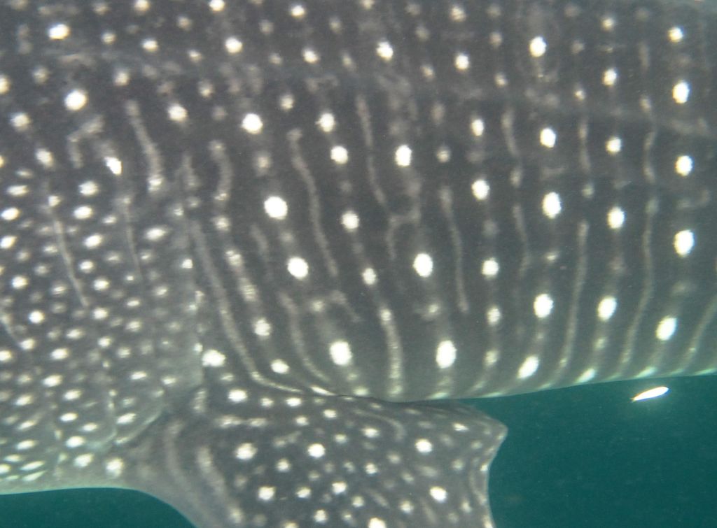 3f7d895e-3dee-4477-badc-562aa2870c28