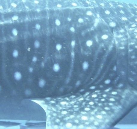 a3899a3f-6d2d-47fe-a530-55cef437bc58