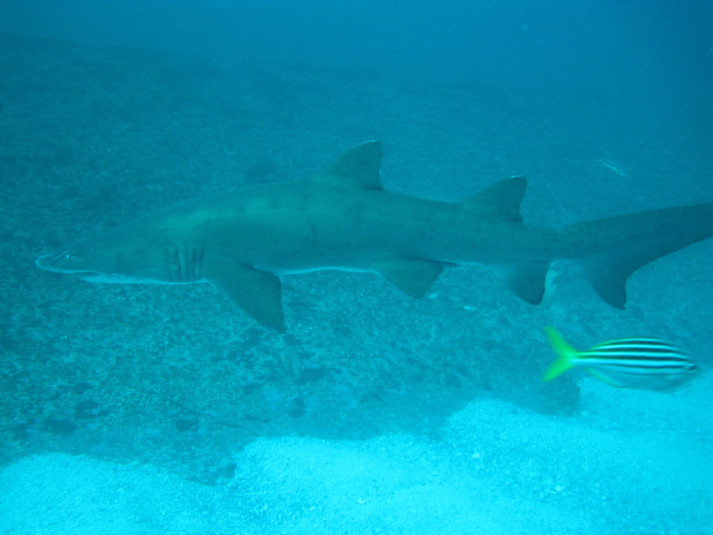 8dc07547-3ae5-4f1d-8a22-7baef5b7e07a