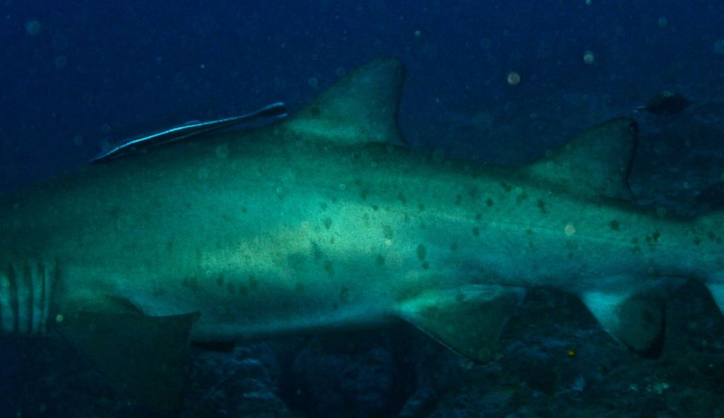 684b7f02-6894-4ed5-be5f-cf25f841aca5