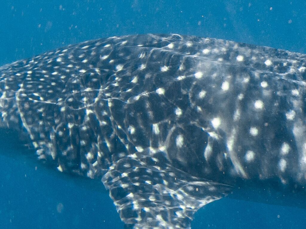 9fb47f9a-940d-4cc8-86cc-9d737df3808c